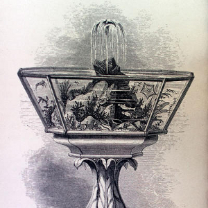 GosseFountainAquarium
