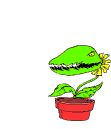 Flower Bitey Bite Flower Bitey Bite