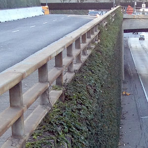 errata-roads-ftmore_vines-300